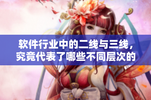軟件行業(yè)中的二線與三線，究竟代表了哪些不同層次的企業(yè)？