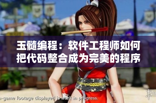 玉髓編程：軟件工程師如何把代碼整合成為完美的程序
