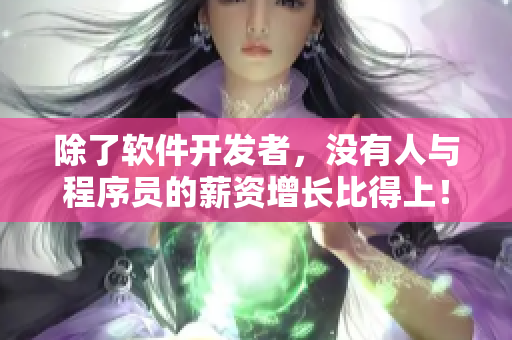 除了軟件開發(fā)者，沒有人與程序員的薪資增長比得上！——美國