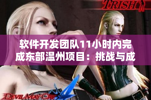 軟件開發(fā)團(tuán)隊(duì)11小時(shí)內(nèi)完成東部溫州項(xiàng)目：挑戰(zhàn)與成就并存