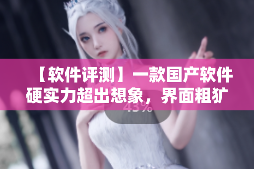 【軟件評測】一款國產(chǎn)軟件硬實力超出想象，界面粗獷卻很好用！