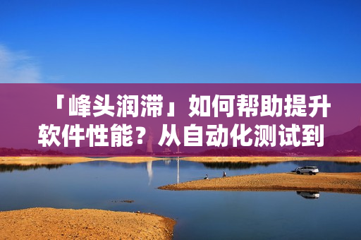 「峰頭潤滯」如何幫助提升軟件性能？從自動化測試到代碼優(yōu)化告訴你！