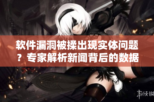 軟件漏洞被揉出現(xiàn)實體問題？專家解析新聞背后的數(shù)據(jù)安全隱患