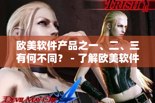 歐美軟件產(chǎn)品之一、二、三有何不同？ - 了解歐美軟件市場及產(chǎn)品差異