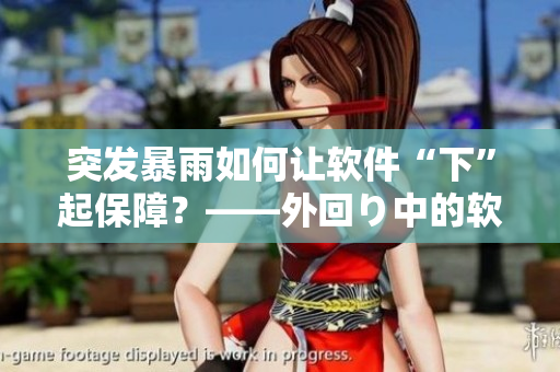 突發(fā)暴雨如何讓軟件“下”起保障？——外回り中的軟件安全保障策略