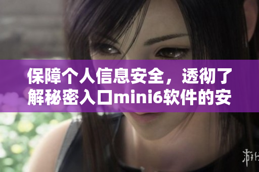 保障個(gè)人信息安全，透徹了解秘密入口mini6軟件的安全保護(hù)措施