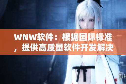 WNW軟件：根據(jù)國(guó)際標(biāo)準(zhǔn)，提供高質(zhì)量軟件開發(fā)解決方案