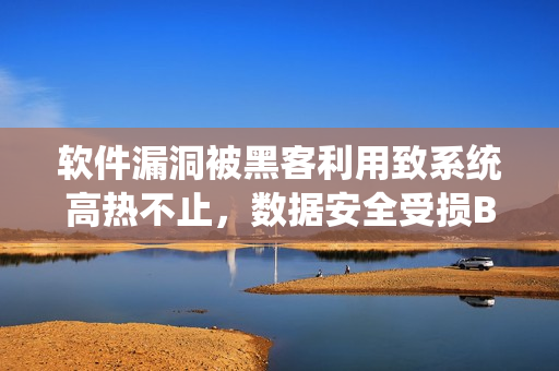 軟件漏洞被黑客利用致系統(tǒng)高熱不止，數(shù)據(jù)安全受損BY黃昏