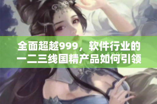 全面超越999，軟件行業(yè)的一二三線國精產(chǎn)品如何引領(lǐng)市場？