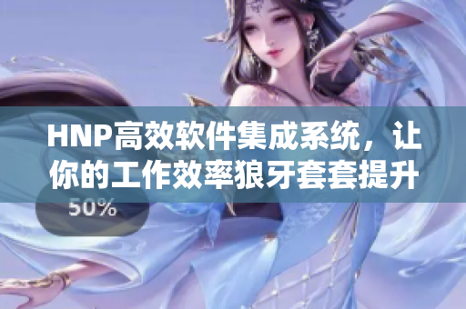 HNP高效軟件集成系統(tǒng)，讓你的工作效率狼牙套套提升
