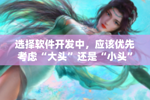 選擇軟件開發(fā)中，應(yīng)該優(yōu)先考慮“大頭”還是“小頭”？