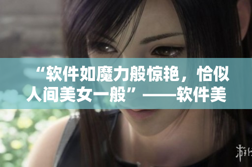 “軟件如魔力般驚艷，恰似人間美女一般”——軟件美學(xué)探究