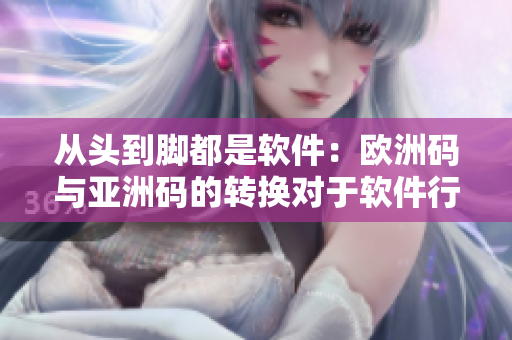 從頭到腳都是軟件：歐洲碼與亞洲碼的轉(zhuǎn)換對(duì)于軟件行業(yè)的重要性