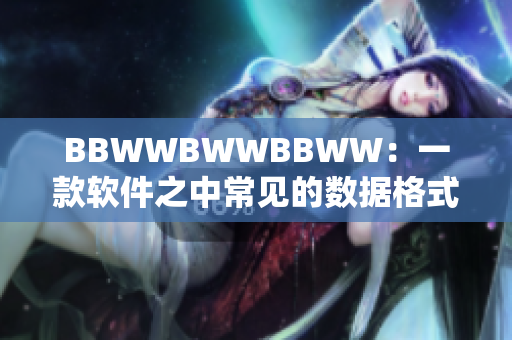 BBWWBWWBBWW：一款軟件之中常見的數(shù)據(jù)格式，你需要了解。
