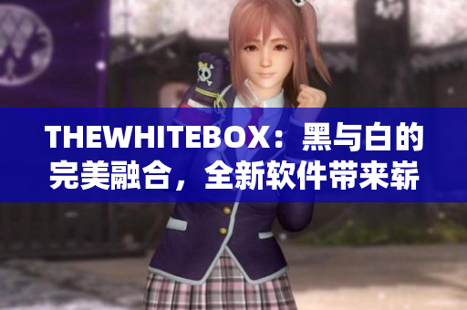 THEWHITEBOX：黑與白的完美融合，全新軟件帶來嶄新用戶體驗(yàn)