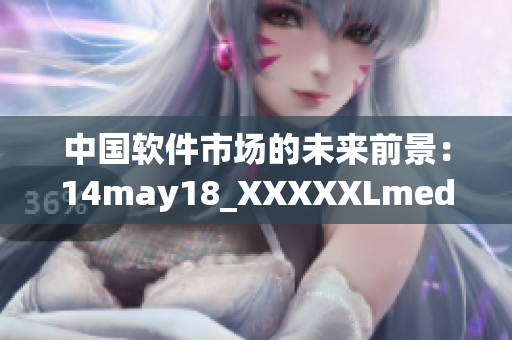 中國軟件市場的未來前景：14may18_XXXXXLmedjyf解讀