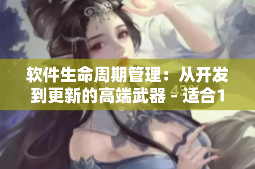 軟件生命周期管理：從開發(fā)到更新的高端武器 - 適合18歲以上