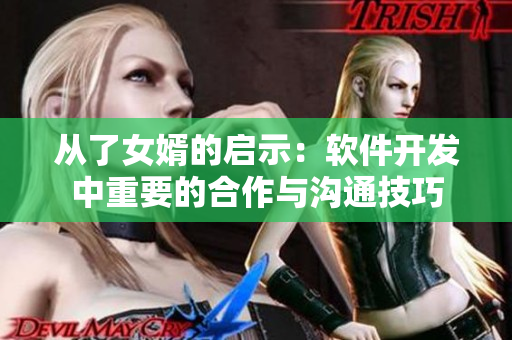 從了女婿的啟示：軟件開(kāi)發(fā)中重要的合作與溝通技巧