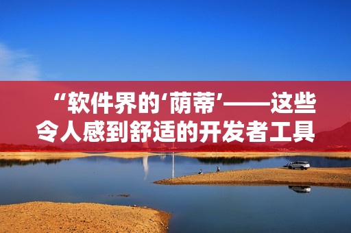 “軟件界的‘蔭蒂’——這些令人感到舒適的開發(fā)者工具”