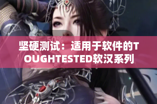 堅(jiān)硬測試：適用于軟件的TOUGHTESTED軟漢系列