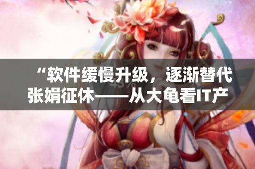 “軟件緩慢升級(jí)，逐漸替代張娟征休——從大龜看IT產(chǎn)業(yè)未來”