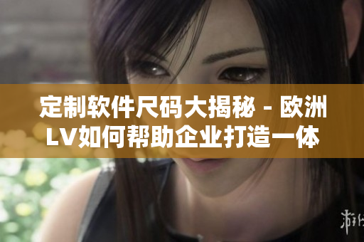 定制軟件尺碼大揭秘 - 歐洲LV如何幫助企業(yè)打造一體化解決方案