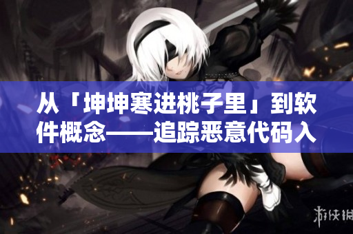 從「坤坤寒進(jìn)桃子里」到軟件概念——追蹤惡意代碼入侵的防御策略