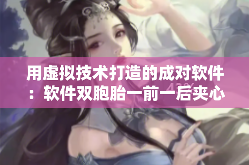 用虛擬技術打造的成對軟件：軟件雙胞胎一前一后夾心盤！