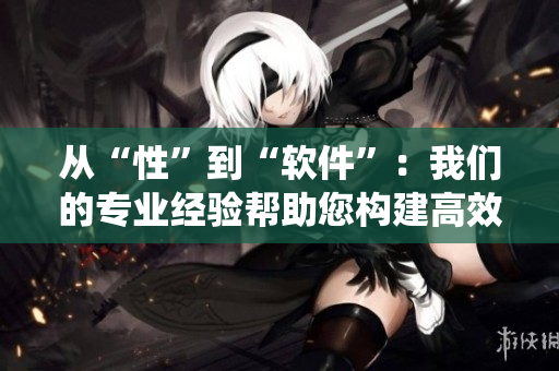 從“性”到“軟件”：我們的專業(yè)經(jīng)驗(yàn)幫助您構(gòu)建高效系統(tǒng)-軟件專業(yè)編輯
