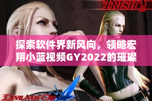 探索軟件界新風(fēng)向，領(lǐng)略宏翔小藍(lán)視頻GY2022的璀璨魅力