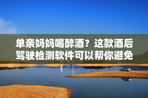 單親媽媽喝醉酒？這款酒后駕駛檢測(cè)軟件可以幫你避免危險(xiǎn)！