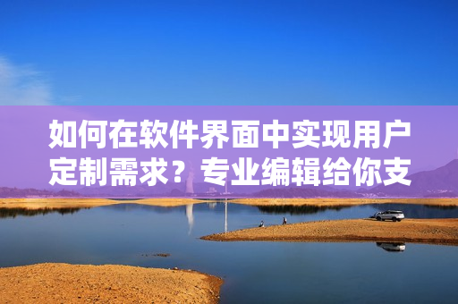如何在軟件界面中實(shí)現(xiàn)用戶定制需求？專業(yè)編輯給你支招！