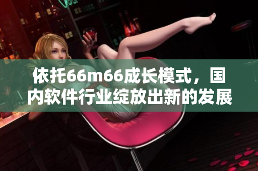 依托66m66成長模式，國內(nèi)軟件行業(yè)綻放出新的發(fā)展模式
