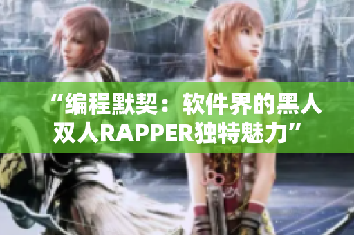 “編程默契：軟件界的黑人雙人RAPPER獨(dú)特魅力”