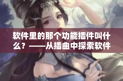 軟件里的那個功能插件叫什么？——從插曲中探索軟件隱蔽功能！
