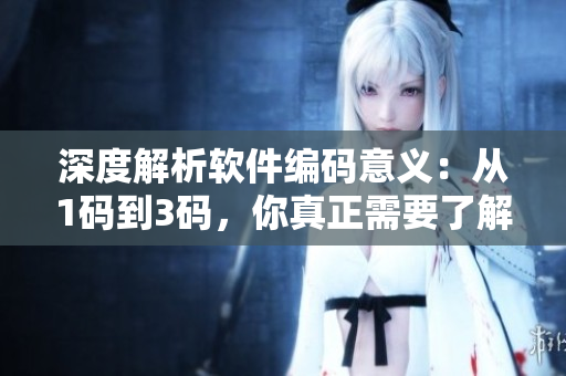 深度解析軟件編碼意義：從1碼到3碼，你真正需要了解的內(nèi)容