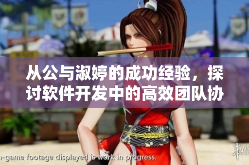 從公與淑婷的成功經(jīng)驗，探討軟件開發(fā)中的高效團隊協(xié)作技巧