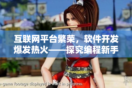 互聯(lián)網(wǎng)平臺(tái)繁榮，軟件開發(fā)爆發(fā)熱火——探究編程新手與老手間的默契