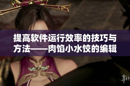 提高軟件運行效率的技巧與方法——肉餡小水餃的編輯授課