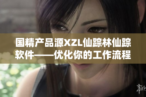 國精產(chǎn)品源XZL仙蹤林仙蹤軟件——優(yōu)化你的工作流程