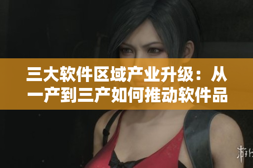 三大軟件區(qū)域產(chǎn)業(yè)升級(jí)：從一產(chǎn)到三產(chǎn)如何推動(dòng)軟件品質(zhì)提升