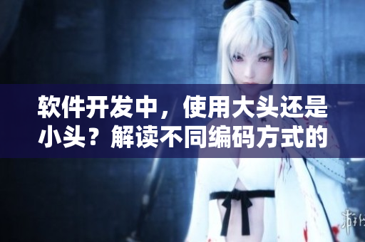 軟件開發(fā)中，使用大頭還是小頭？解讀不同編碼方式的優(yōu)缺點(diǎn)