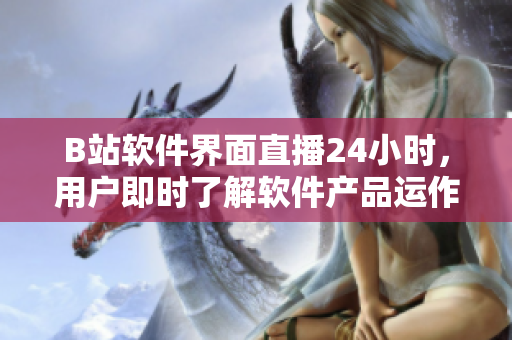 B站軟件界面直播24小時(shí)，用戶即時(shí)了解軟件產(chǎn)品運(yùn)作