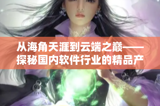 從海角天涯到云端之巔——探秘國內(nèi)軟件行業(yè)的精品產(chǎn)品