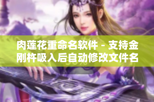 肉蓮花重命名軟件 - 支持金剛杵吸入后自動修改文件名