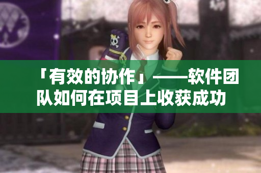 「有效的協(xié)作」——軟件團隊如何在項目上收獲成功