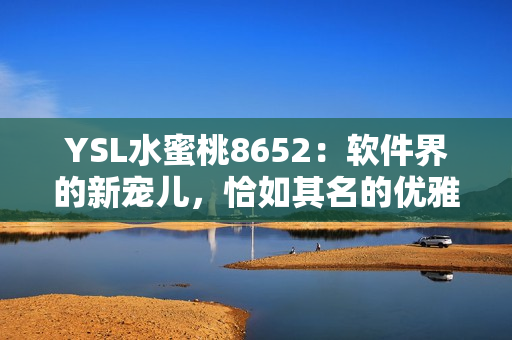 YSL水蜜桃8652：軟件界的新寵兒，恰如其名的優(yōu)雅與高效