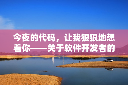今夜的代碼，讓我狠狠地想著你——關(guān)于軟件開發(fā)者的愛情故事
