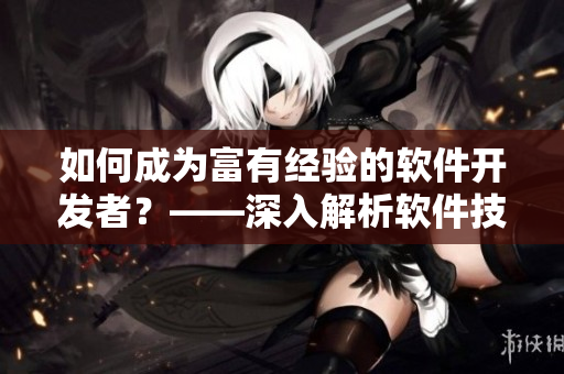 如何成為富有經(jīng)驗的軟件開發(fā)者？——深入解析軟件技術(shù)與實踐