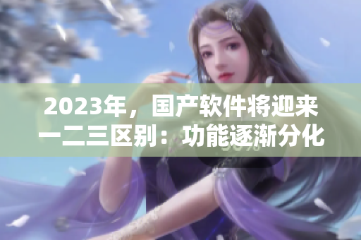 2023年，國產(chǎn)軟件將迎來一二三區(qū)別：功能逐漸分化，用戶體驗不斷優(yōu)化